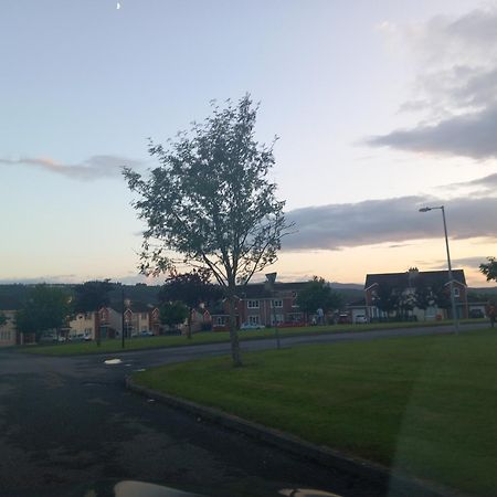 Sycamore Place Carrick-on-Suir Zewnętrze zdjęcie